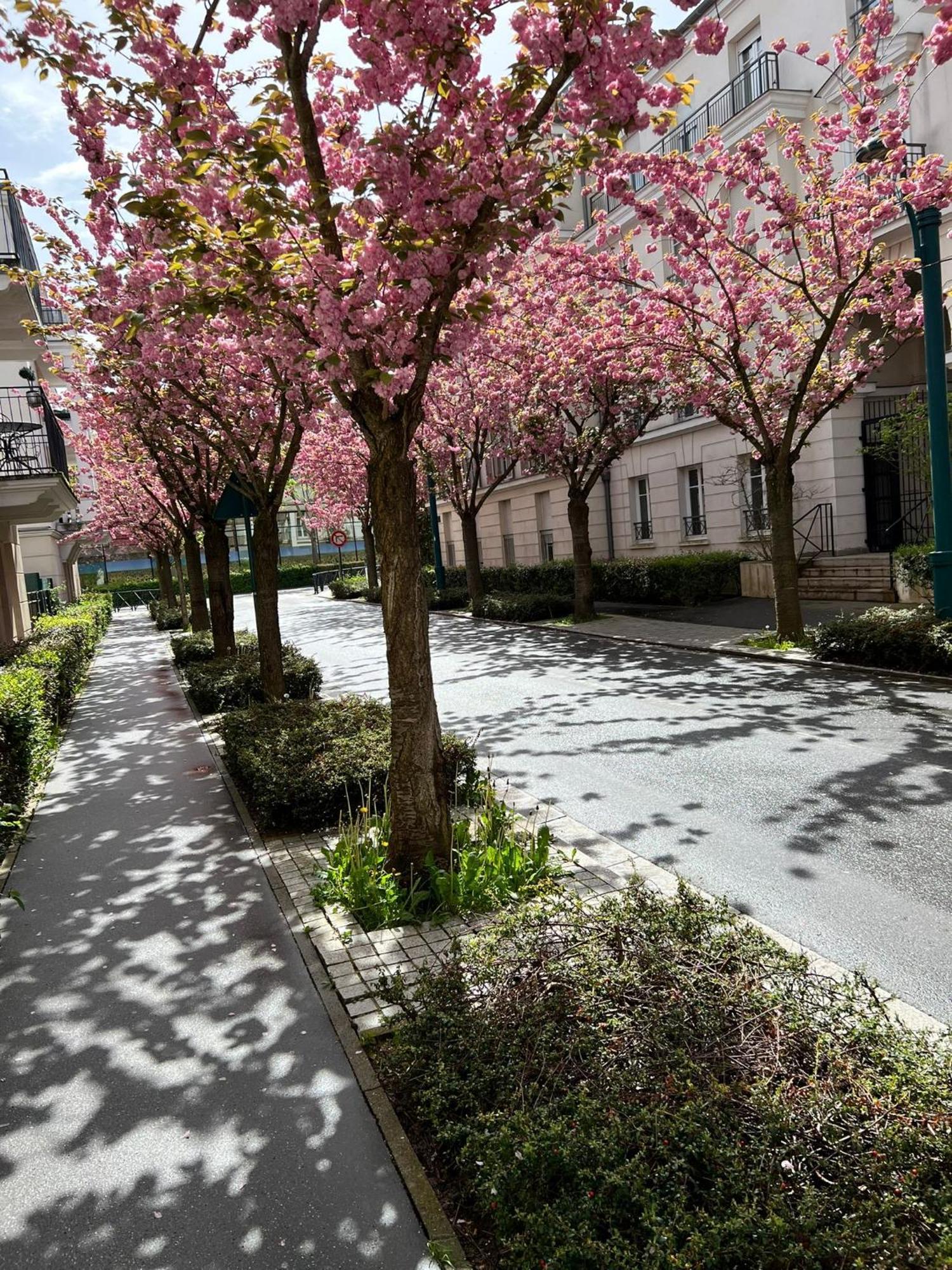 Sweet Appartement Disneyland Paris Parking 300M Station Val D'Europe Chessy  Εξωτερικό φωτογραφία